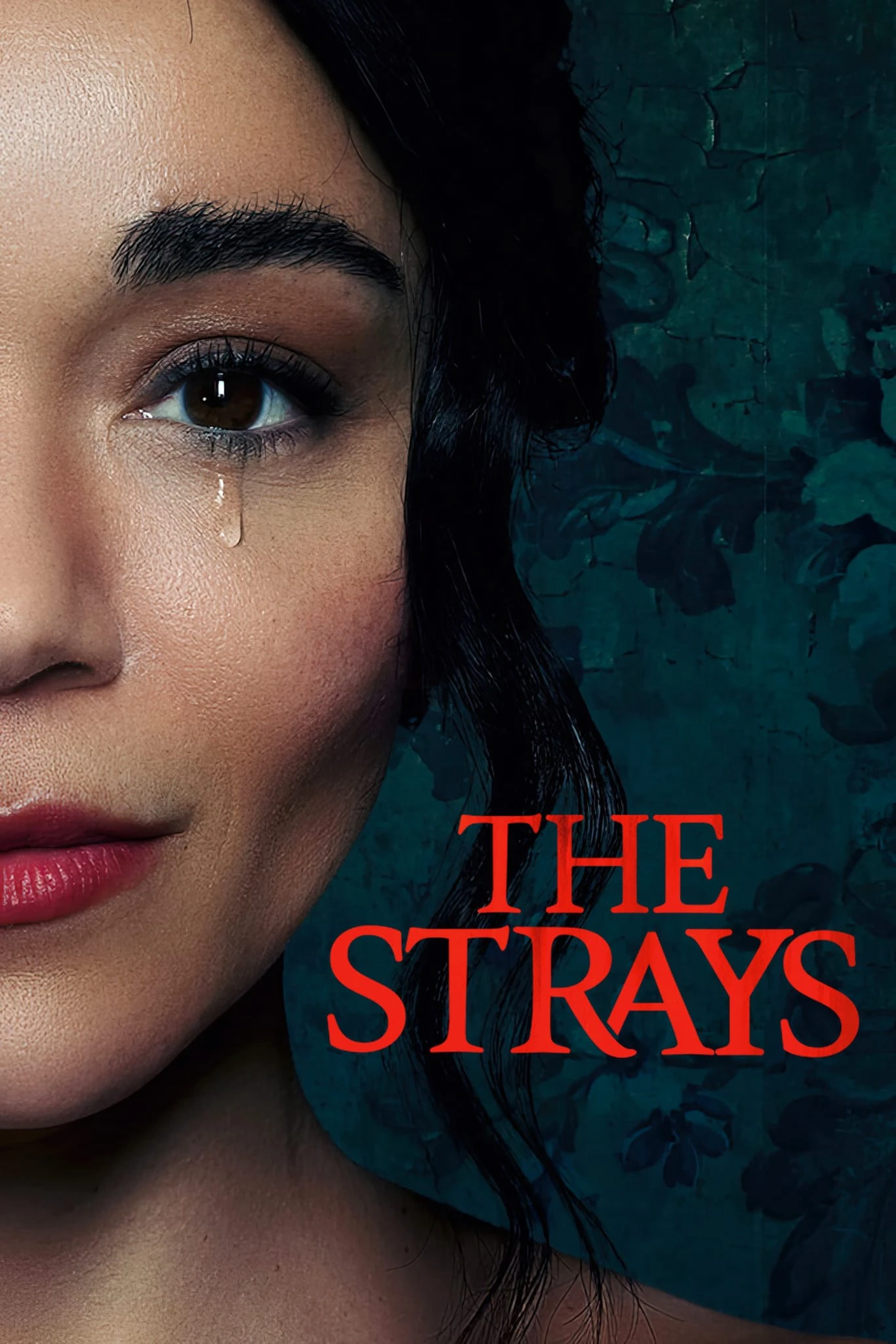 Kẻ lạc đường | The Strays (2023)