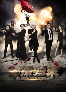 Sự trở lại của điệp viên bí mật | the Return of the Secret Agent (2018)